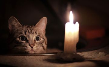 Свердловский РЭС информирует население о плановых отключениях электроэнергии на территории Свердловского муниципального округа