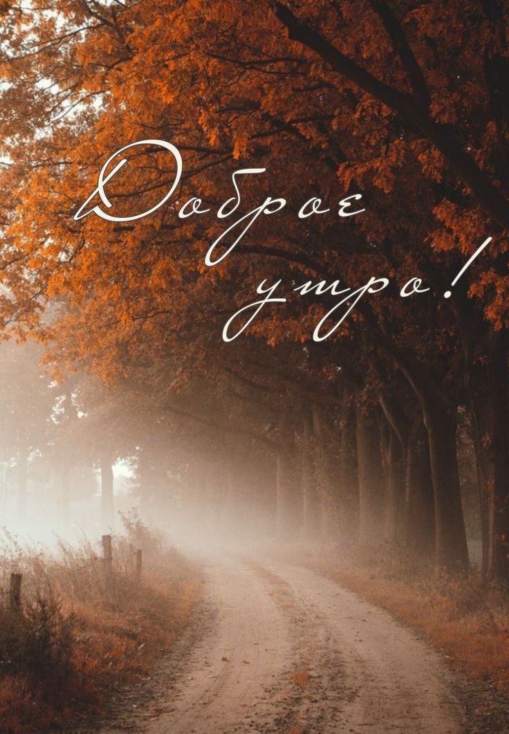 С ДОБРЫМ УТРОМ!. Сегодня 18 ноября, вторник! Немного о погоде: