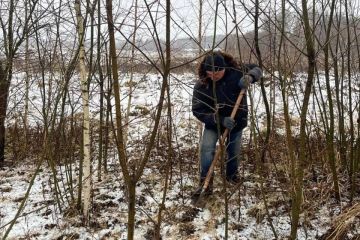 Шеф-регион поможет разбить в Первомайске березовый сад