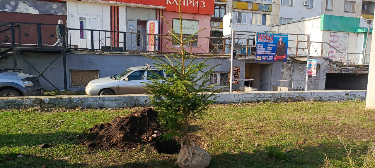 Депутаты Совета присоединились к акции «Сад памяти»