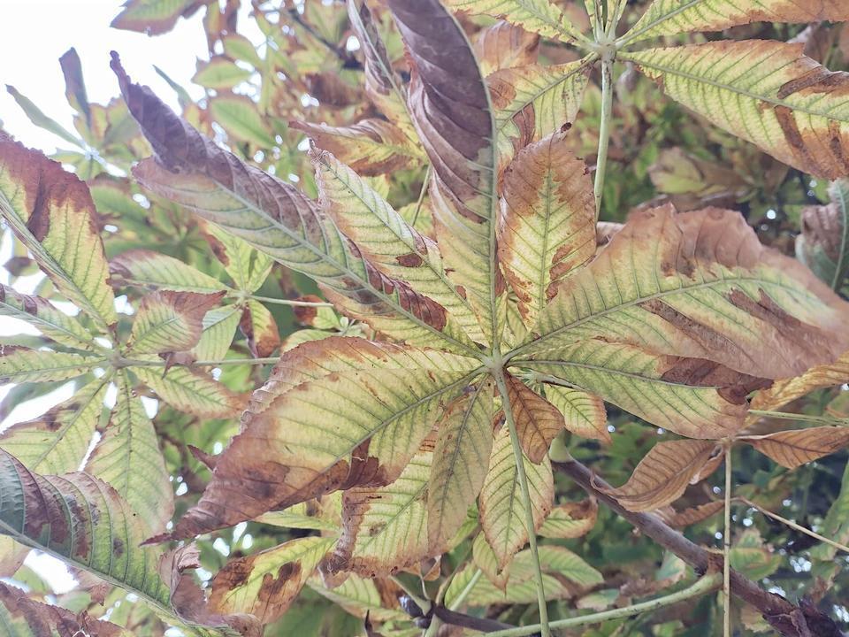 Прогноз погоды в Луганске на 18 ноября