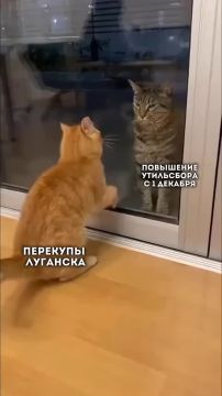 , !.          ,   ! ,   1    160     