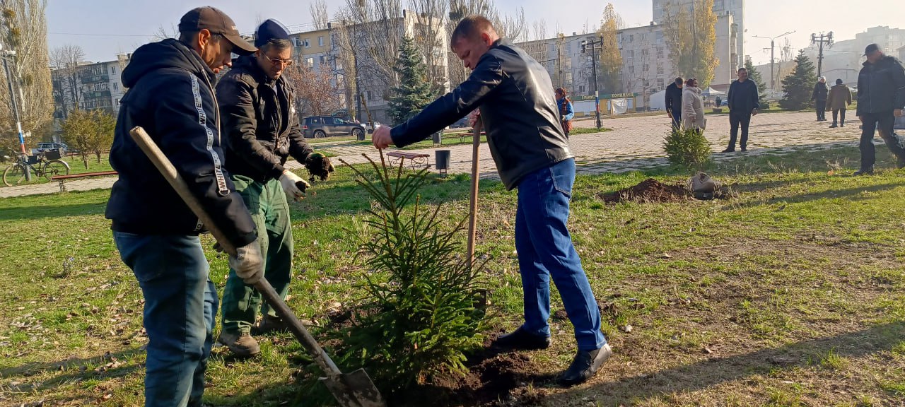 Депутаты Совета присоединились к акции «Сад памяти» Депутаты Совета присоединились к акции «Сад памяти»
