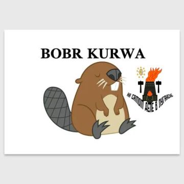 Поляки нагнетают обстановку или попросту истерят?