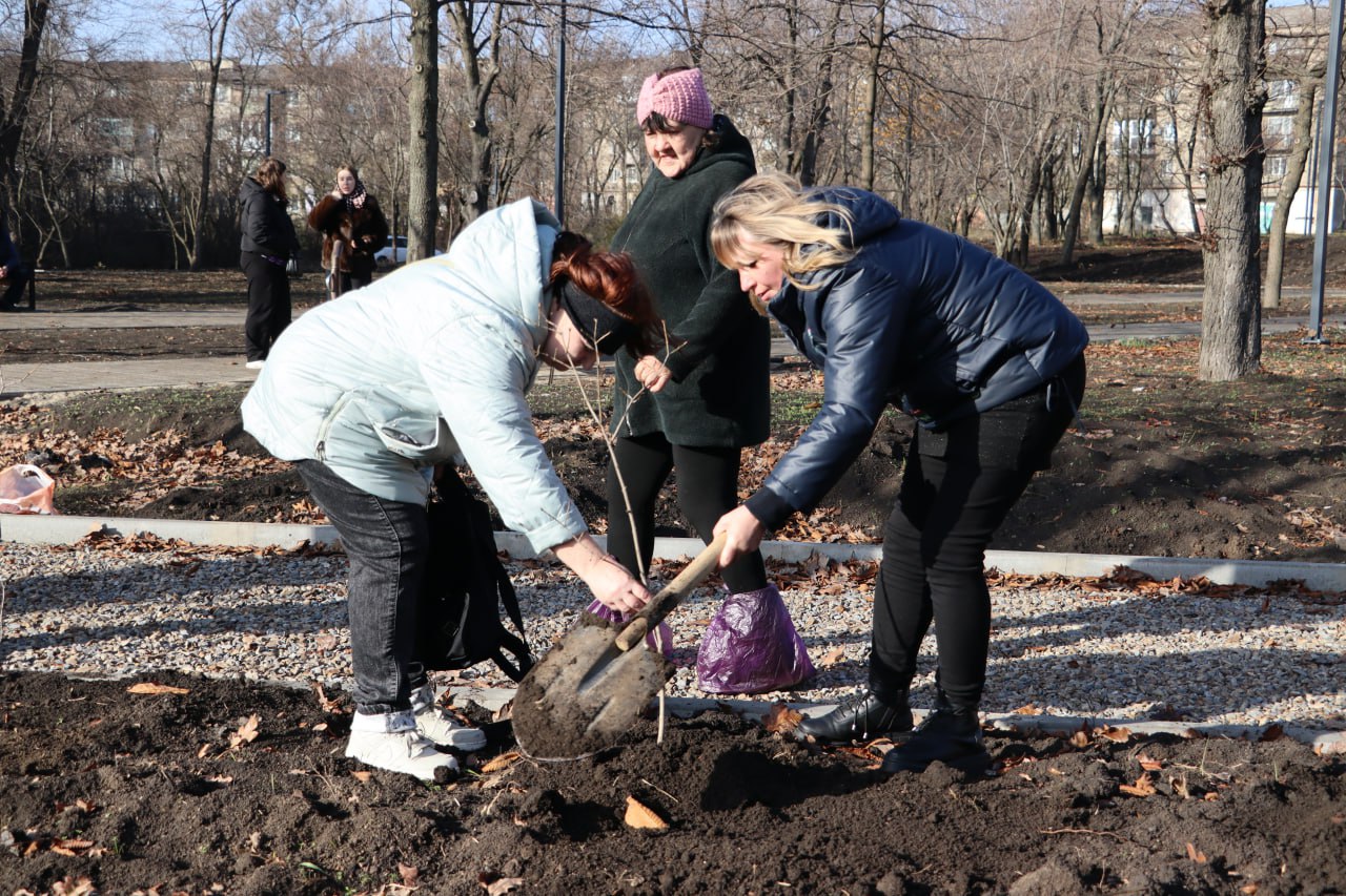 В сквере Победы высадили Материнскую аллею памяти В сквере Победы высадили Материнскую аллею памяти