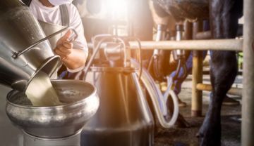 Минсельхоз ЛНР объявил начале приема заявок на субсидирование для поддержки производства молока