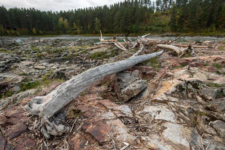 Более 120 км берегов расчистили в ЛНР в рамках акции «Вода России - 2025»