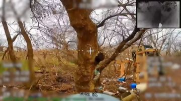 Работает «Рубикон». Донбасс Подпишись на канал |