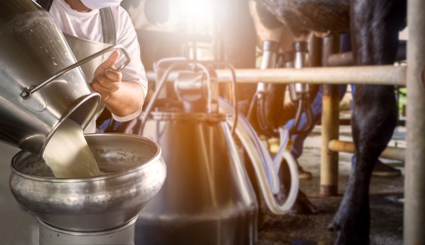 Минсельхоз ЛНР объявил начале приема заявок на субсидирование для поддержки производства молока