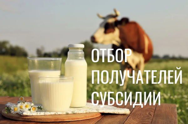 ������������� ������ ������� ������������