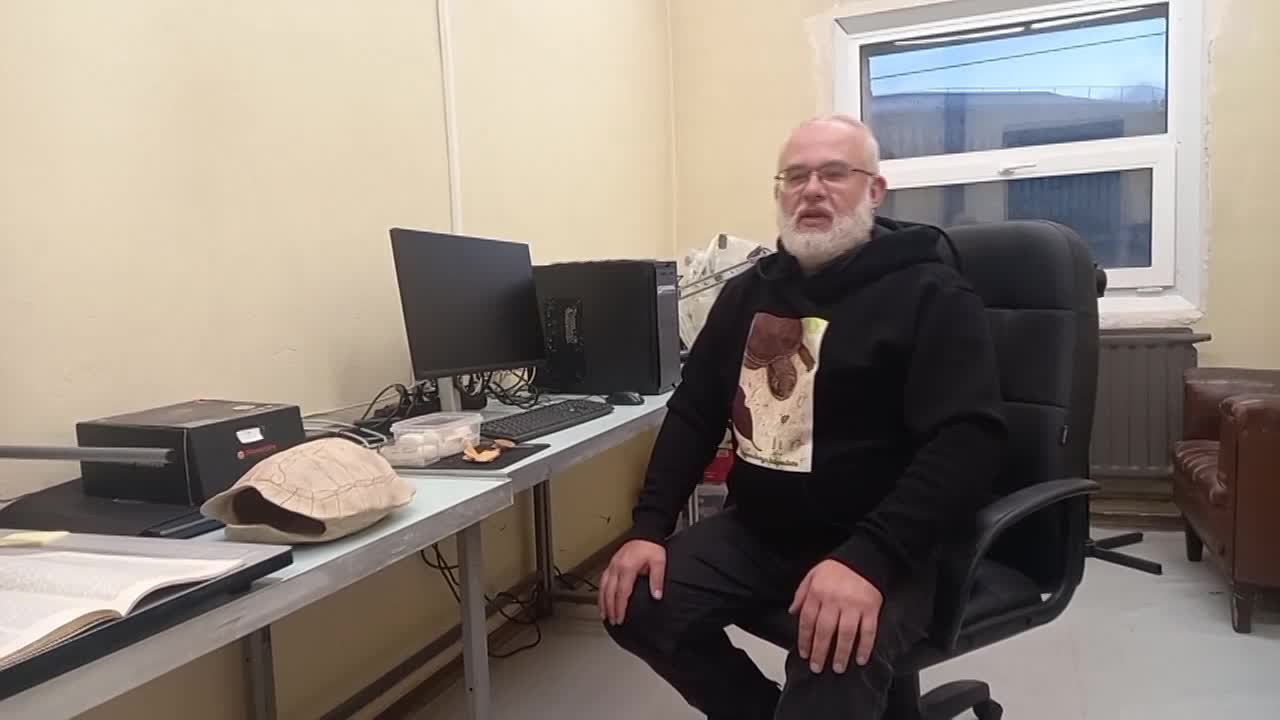 В ЛНР обнаружили еще один ранее неизвестный науке вид черепах