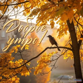 Доброе утро! Пусть каждое письмо дарит вам улыбку и новые возможности