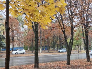 Дождь и сильный ветер ожидаются в ЛНР 19 ноября