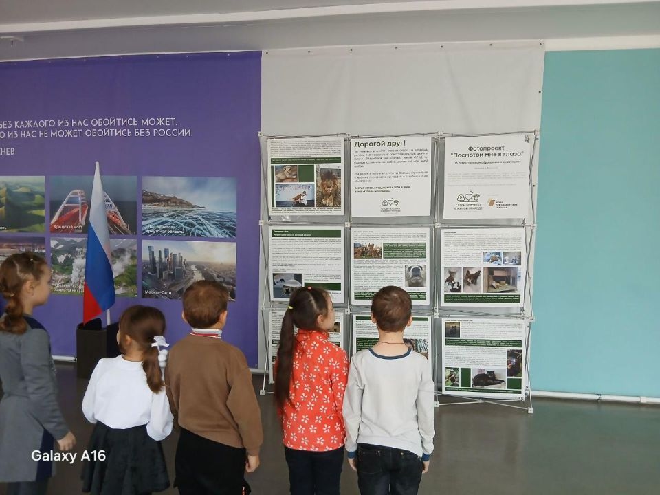 Пермский фонд «Следы человека» открыл фотовыставку в Северодонецке в школе №6