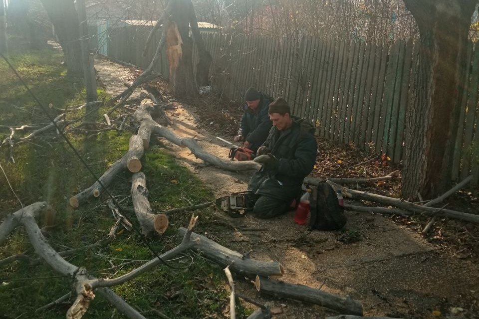 В Свердловском округе ликвидируют последствия непогоды и устраняют аварийные деревья В Свердловском округе ликвидируют последствия непогоды и устраняют аварийные деревья