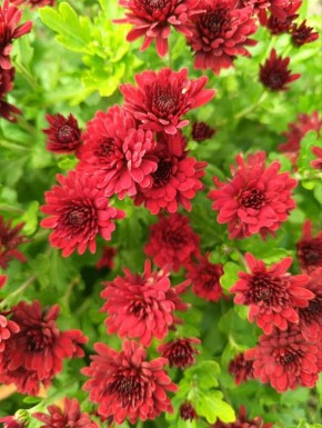 С добрым утром, жители Марковского муниципального округа!