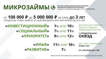 Предлагаем ознакомиться с действующими мерами поддержки для субъектов МСП на территории Луганской Народной Республики