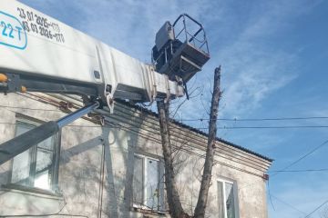 В Свердловском округе ликвидируют последствия непогоды и устраняют аварийные деревья