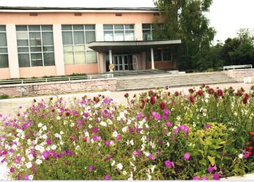 Что такое Малая Родина?. Это то, что всегда будет в душе человека: город, поселок, улица, дом, соседи…