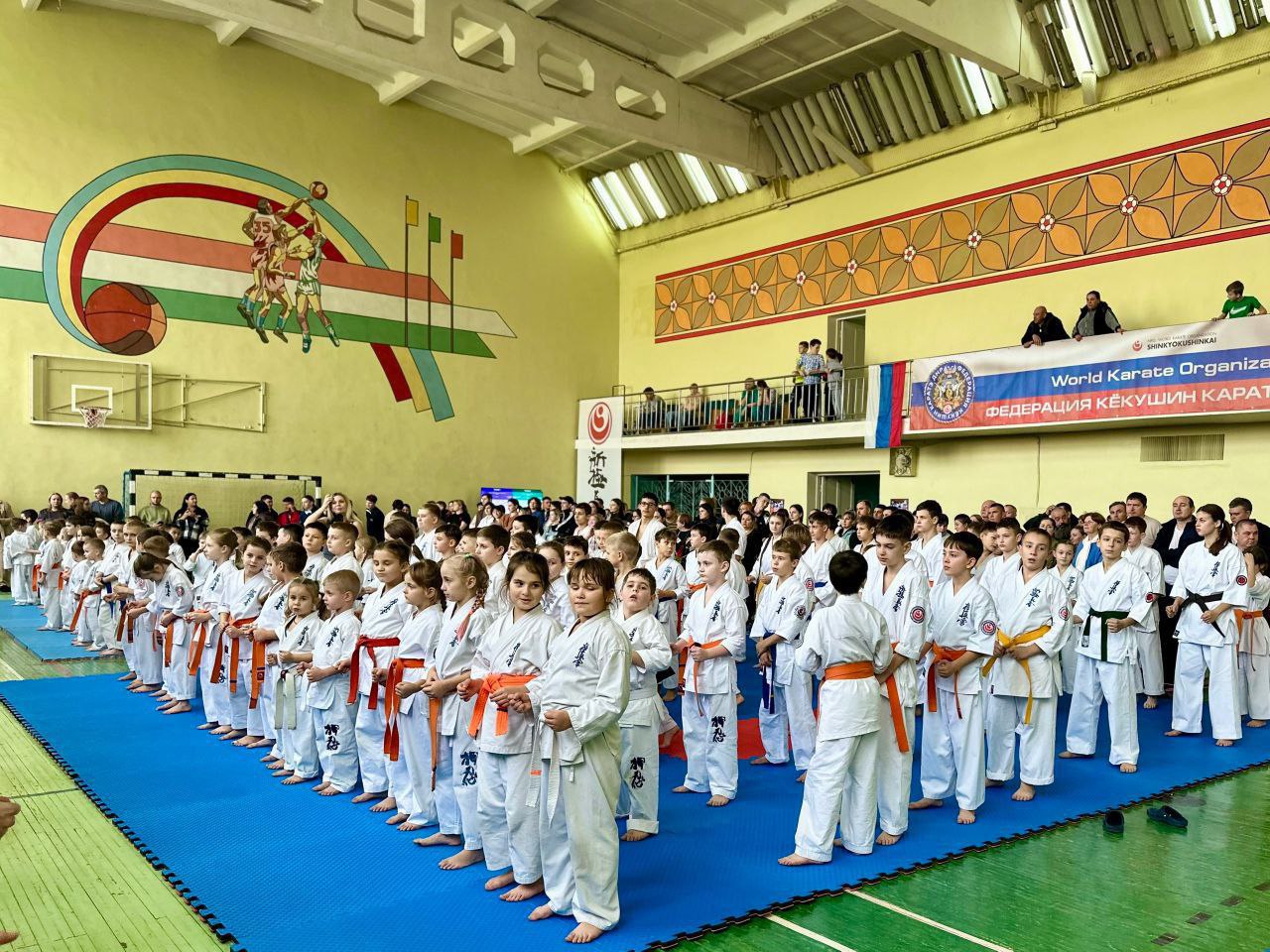 Первенство и Чемпионат ДНР по шинкиокушин Первенство и Чемпионат ДНР по шинкиокушин