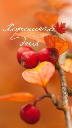 С ДОБРЫМ УТРОМ!. Сегодня 19 ноября, среда! Немного о погоде: