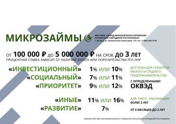 О действующих мерах поддержки для субъектов малого и среднего предпринимательства на территории Луганской Народной Республики