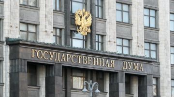 Депутаты Государственной Думы в первом чтении приняли законопроект о социальной защите жителей ДНР, ЛНР и поддержке участников СВО
