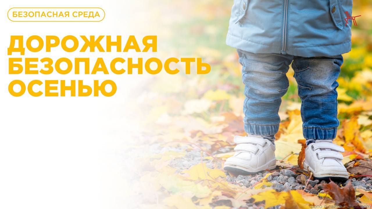 ОГИБДД ОМВД России "Лисичанский" сообщает, что с наступлением осени меняется не только погода, но и дорожная обстановка