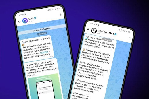 Возможности применения сервиса Цифровой ID и Цифровой платформы МАХ