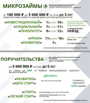 Действующие льготные меры поддержки субъектов МСП на территории Луганской Народной Республики