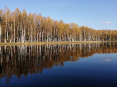 Палозеро. Ленинградская область Подпишись на «Россия — это я!»