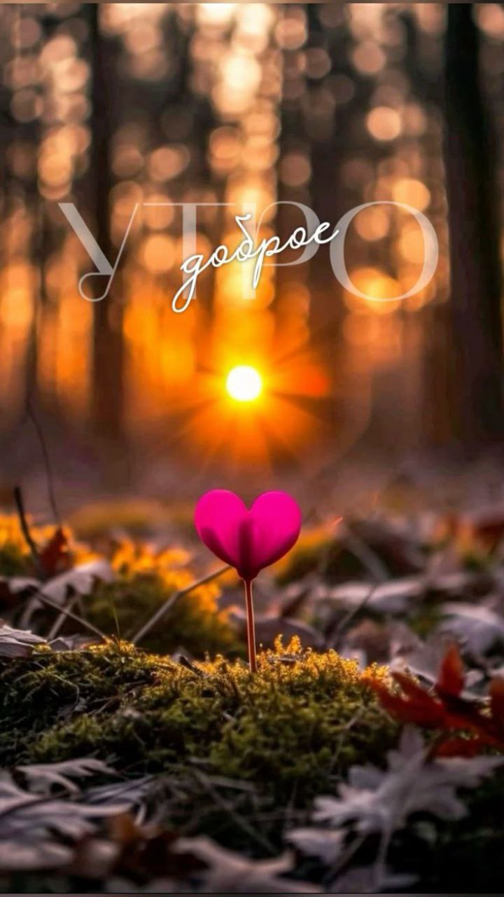 С ДОБРЫМ УТРОМ!. Сегодня 20 ноября, четверг! Немного о погоде: