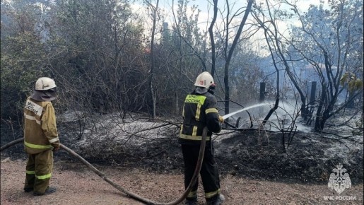 Оперативная обстановка за прошедшие сутки:
