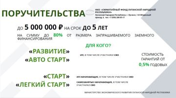 Предлагаем ознакомиться с действующими мерами поддержки для субъектов МСП на территории Луганской Народной Республики