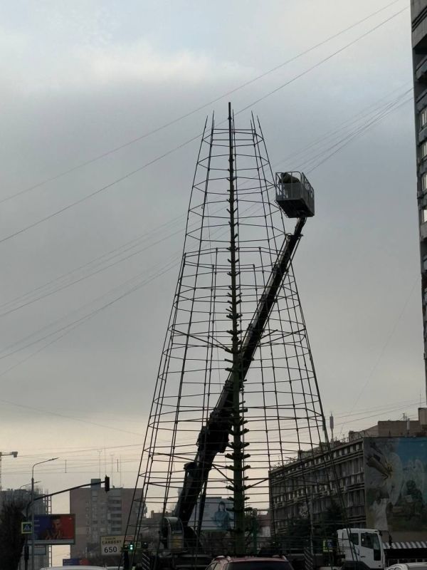 ��� ��� ������ �������� ������� ���� ��������