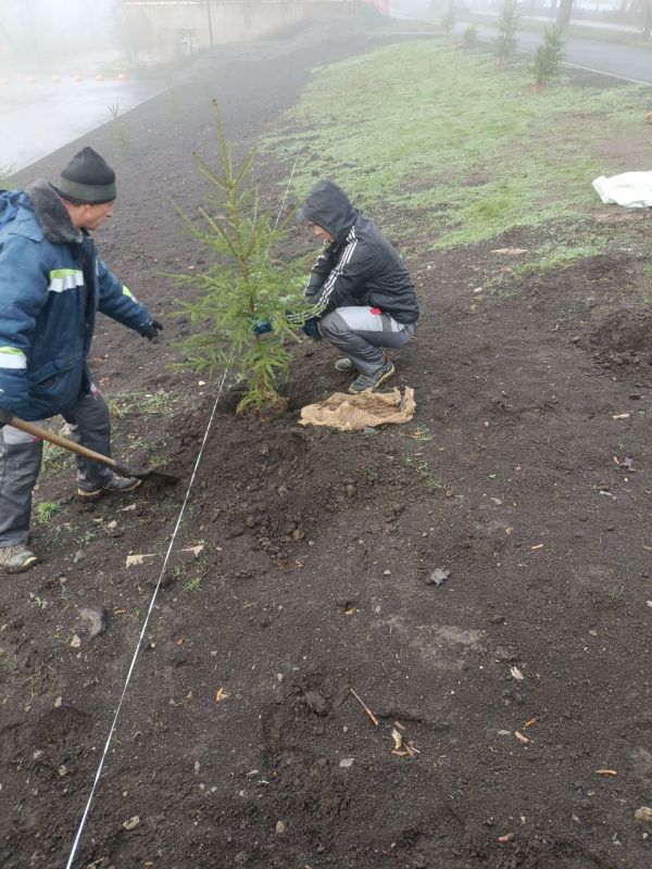 Сегодня в нашем городе продолжались работы по благоустройству Сегодня в нашем городе продолжались работы по благоустройству