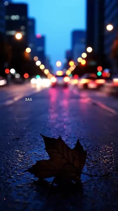 Доброй и мирной ночи, жители Новоайдарского округа!