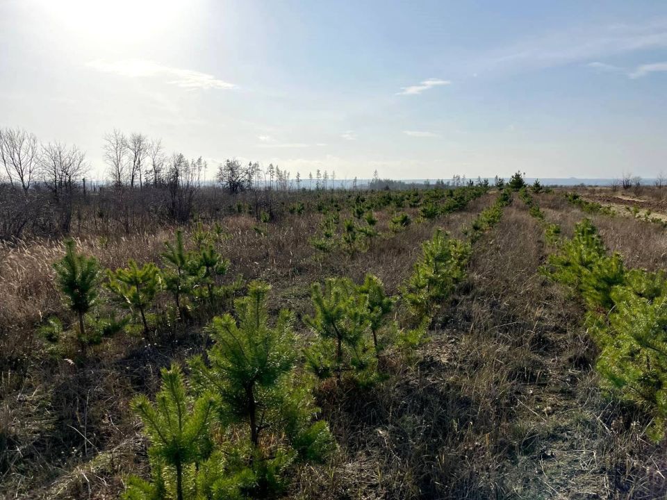 ����� 26 �� ������ ������� �������� � ���������� � ������� ������ ������� �������������� ��������