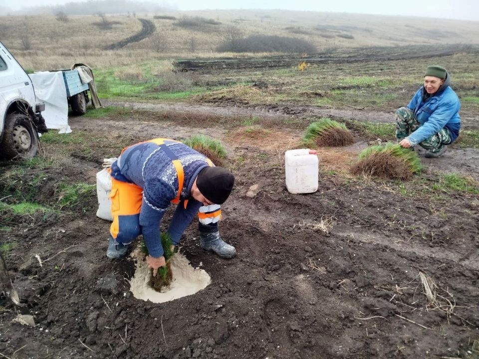 ����� 26 �� ������ ������� �������� � ���������� � ������� ������ ������� �������������� ��������