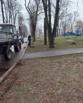 Сотрудники Администрации города приняли участие в субботнике