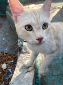 22 ноября на территории Луганской Народной Республики будет облачно с прояснениями