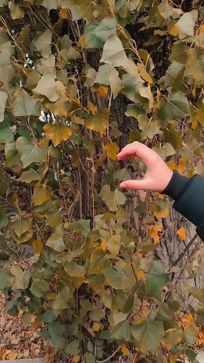 «Энергосбыт Луганск» напоминает о необходимости передать показания до 25 ноября