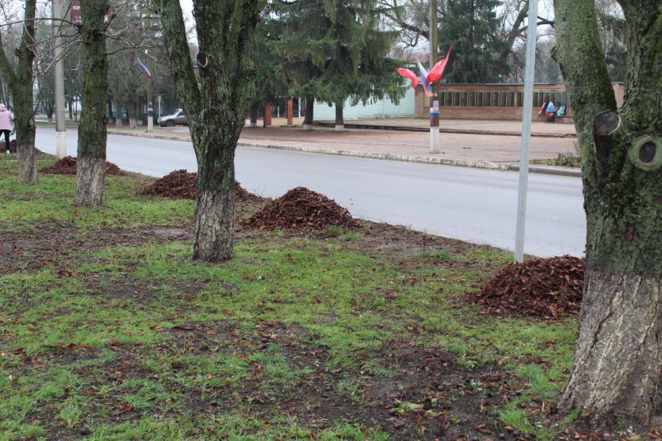 Юлия Кожухарь: Приняла участие в осеннем субботнике в пгт Новопсков Юлия Кожухарь: Приняла участие в осеннем субботнике в пгт Новопсков