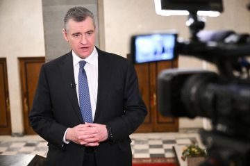 Галина Дуброва: ЛДПР предлагает запретить продажу пневматики и электрошокеров мигрантам