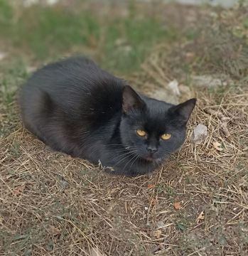 24 ноября на территории Луганской Народной Республики будет облачно с прояснениями