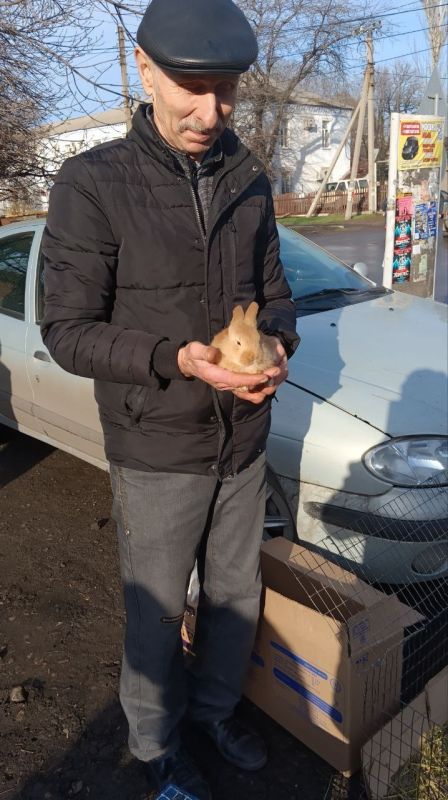 В Красном Луче прошла традиционная выставка-ярмарку голубей, кур, попугаев, кроликов а также певчих и декоративных птиц В Красном Луче прошла традиционная выставка-ярмарку голубей, кур, попугаев, кроликов а также певчих и декоративных птиц