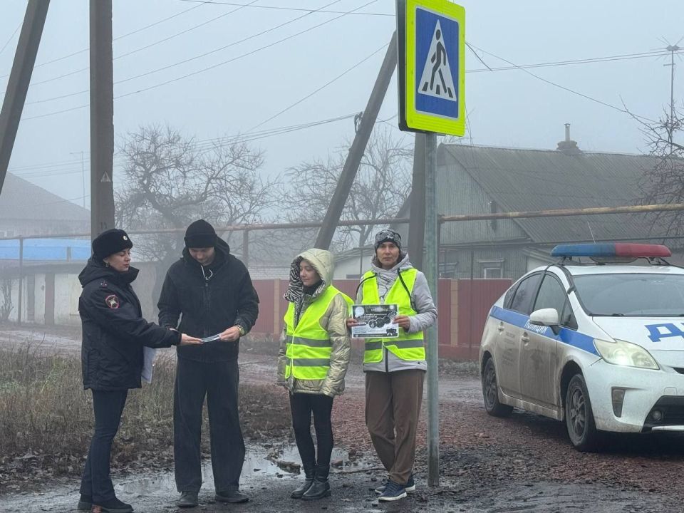 ���������� ������ ���� ������ "������������" � "��������������" ��������� � ��������������� ������������� ������� ����� �� ������ ������������ ��������� ��������