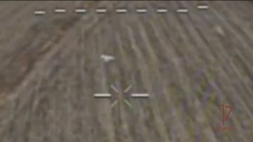 Росгвардейцы сбили вражеский беспилотник в ЛНР