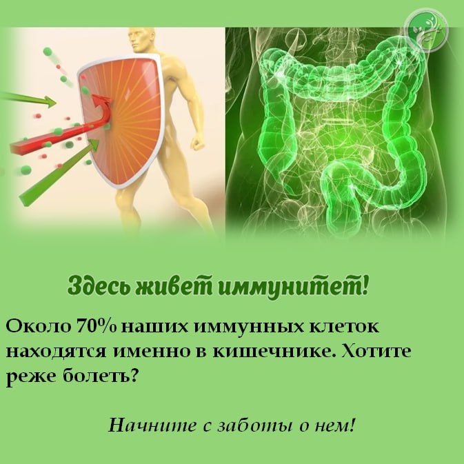 Эта неделя посвящена здоровью желудочно-кишечного тракта — нашего внутреннего супергероя, который трудится без выходных и отпусков! Эта неделя посвящена здоровью желудочно-кишечного тракта — нашего внутреннего супергероя, который трудится без выходных и отпусков!