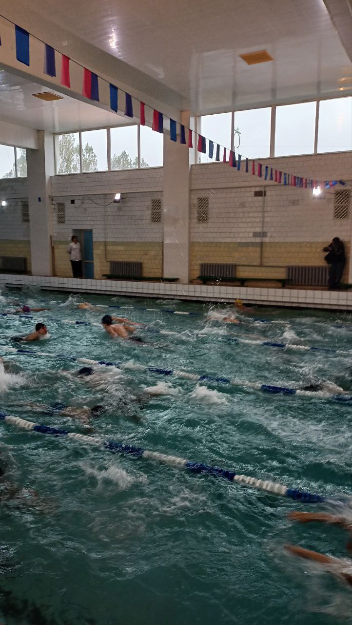 Первенство по плаванию «Лучший брассист»